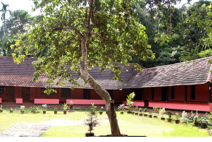 Kudajadri Drizzle, Wayanad 3